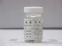 藏品(水紋尖鼻魨)的圖片